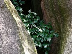 -云洞岩风景区