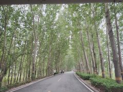 -白洋淀景区