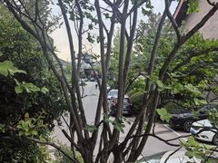 -唐御宴•御宴宫•唐代菜点(芙蓉西路店)
