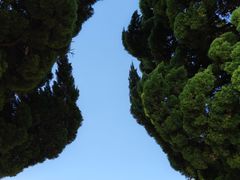 -小麦岛公园
