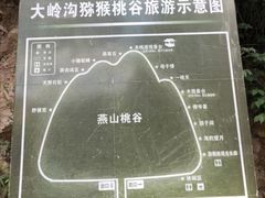 -大岭沟猕猴桃谷风景区