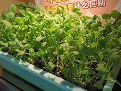 -番食园鲜食火锅(高新店)