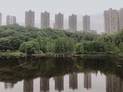 -重庆彩云湖湿地公园