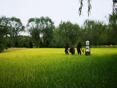-北坞公园