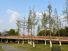 -府河摄影公园
