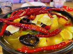 -潮庭·大连海鲜·炭火烧烤·扇贝王(大连店)