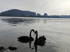 -西山漾湿地公园