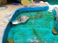 -泉城欧乐堡海洋极地世界