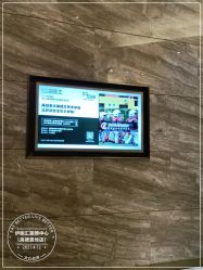 -伊丽汇
