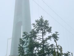 -玉苍山国家森林公园