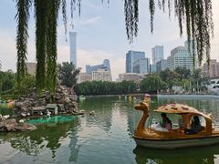 -团结湖公园