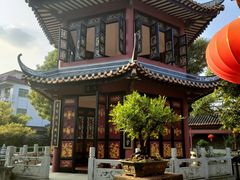 -碧江金楼