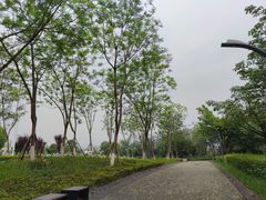 -金海湾滨江公园