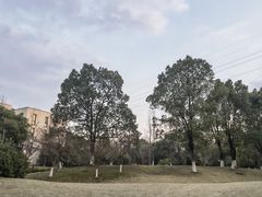 -良渚文化村