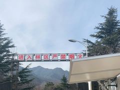 -北京鹫峰国家森林公园