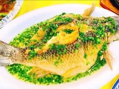 -盛记顺德高佬猪杂粥