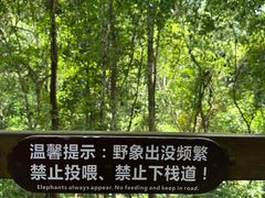 -野象谷景区