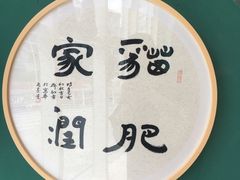 -飞行喵MR PILOT|猫舍·猫咖(静安大融城店)