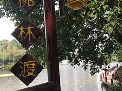 -重庆彩云湖湿地公园