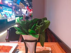 大堂-超级鲜•胡毛肚火锅(扬帆店)