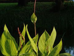 -人民公园(罗湖区)