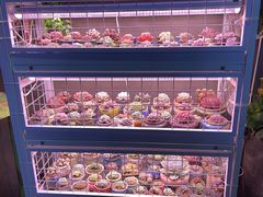 -琥珀老六龙虾(四里河店)