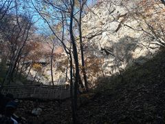 -大连天门山国家森林公园