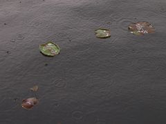 -西湖游船