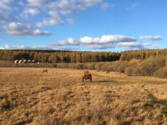 -塞罕坝国家级自然保护区
