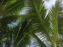 -亚马逊丛林水乐园