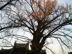-忆秦园小笼包(惠山古镇总店)