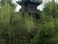 -水绘园
