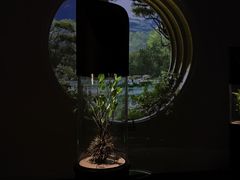 -中国湿地博物馆