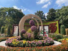 -上海共青森林公园