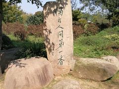 -采石矶景区