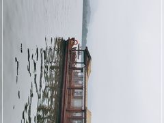 -西湖游船