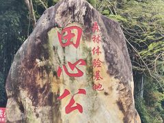 -田心森林公园