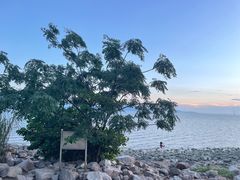 -深圳湾公园(南山区)