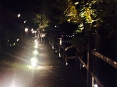 -Local泰莲庭(虹鳟鱼店)