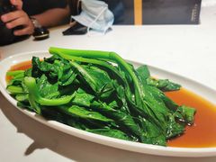 -杨氏青龙虾·羊蝎子(金盛路总店)