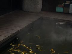 -觀芷隐轩