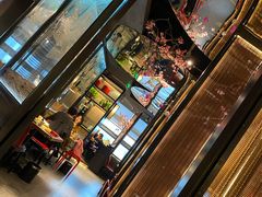 -老板恋上鱼(印象城店)