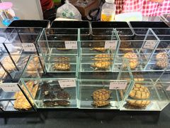 -宁波国际会展中心