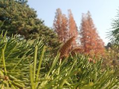 -国家植物园