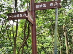 -梧桐山风景名胜区