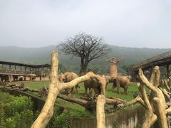 -太湖龙之梦