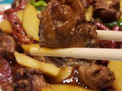 -巴依老爷新疆美食(望京小街店)