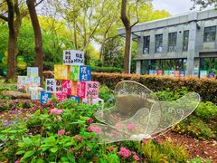 -上海共青森林公园