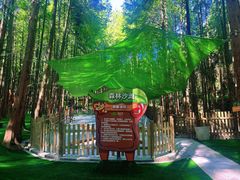 -山王坪喀斯特国家生态公园