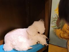 -默迹咖啡馆